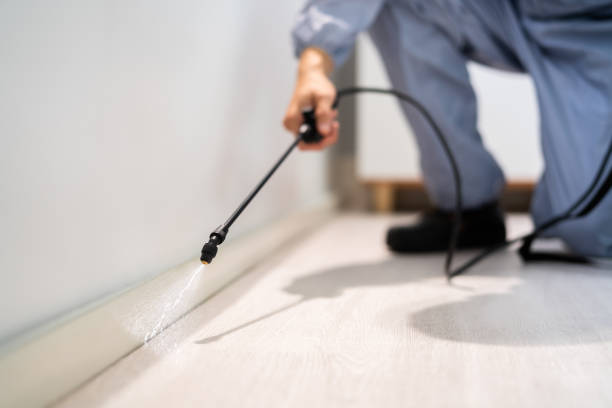 Rodent Entry Point Assessment in Downers Grove