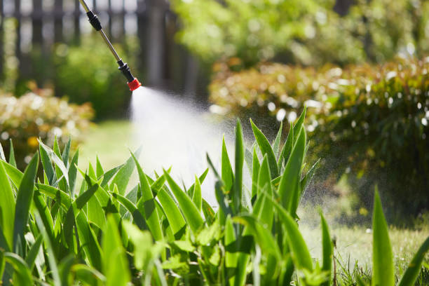 Tamper-Resistant Bait Stations for Rodents in Downers Grove