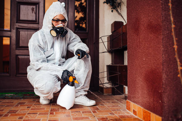 Attic and Crawl Space Rodent Treatment in Downers Grove