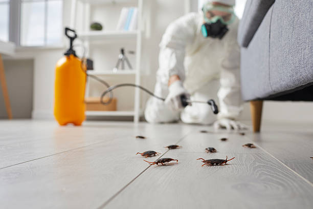 Commercial Rodent Management in Downers Grove